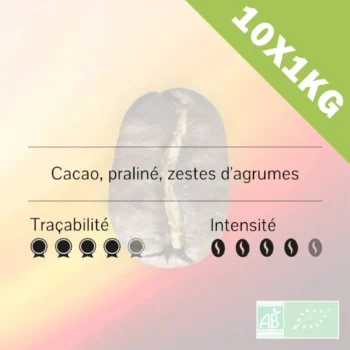 Pérou - Palma Central - Cataratas BIO 10x1kg